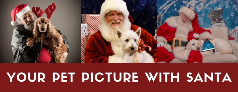 Your Pet Picture with Santa